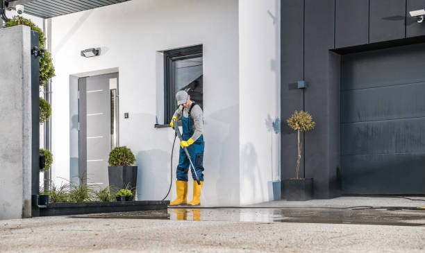 Best Graffiti Removal  in Malden, MO